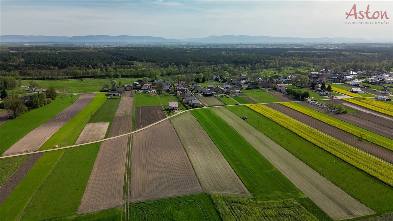 Działka budowlana na sprzedaż Międzyrzecze  6 540m2 Foto 5