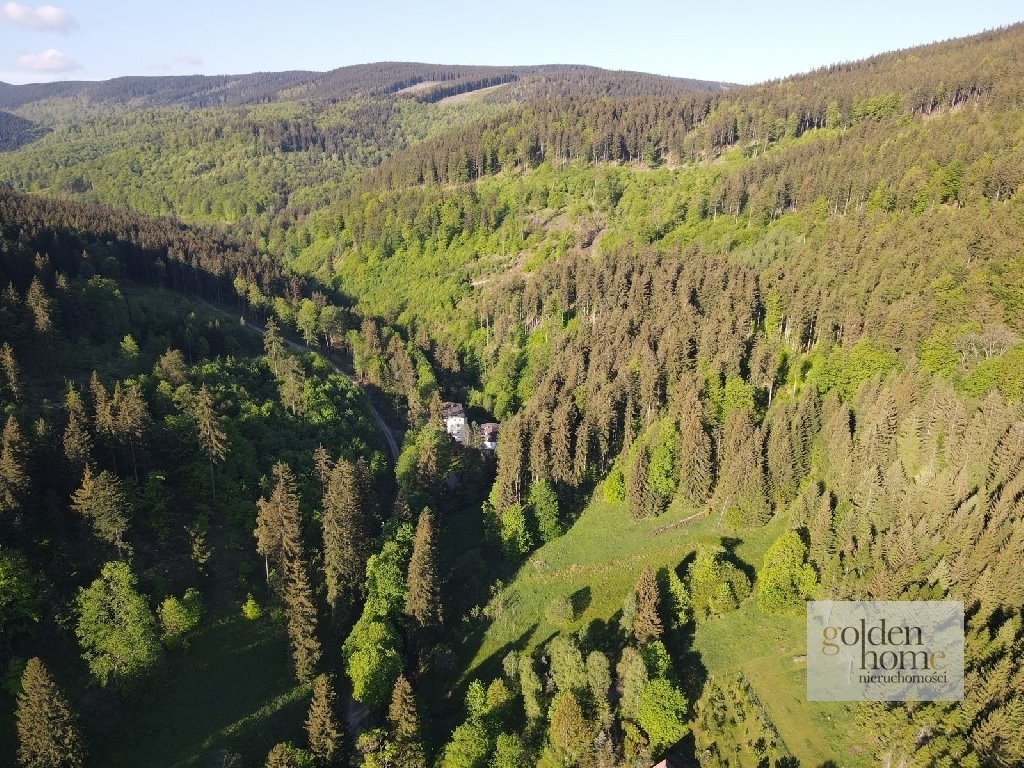 Działka inwestycyjna na sprzedaż Kletno, Śnieżnik Jaskinia Niedźwiedzia  19 400m2 Foto 10