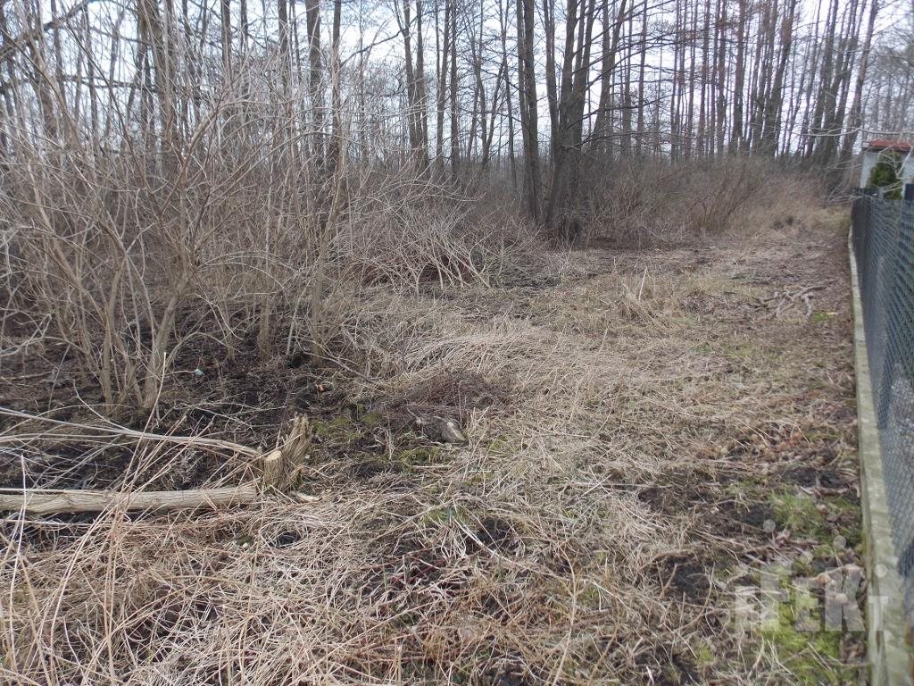 Działka budowlana na sprzedaż Zboiska  2 500m2 Foto 2