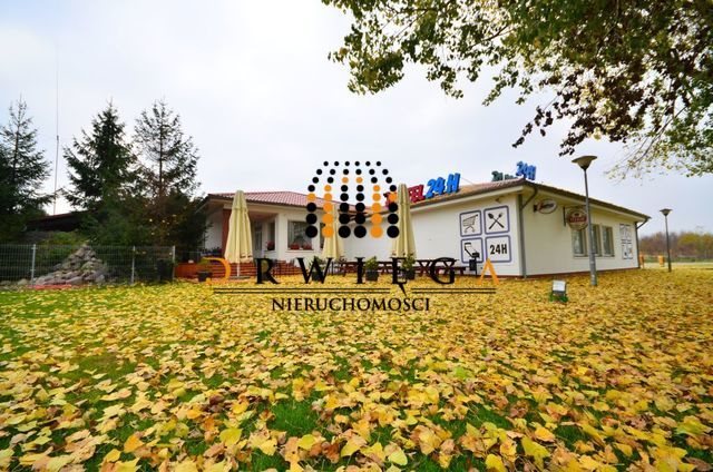 Lokal użytkowy na wynajem Trzebiszewo 750m2 Foto 1 Lokal użytkowy na wynajem Trzebiszewo 750m2 Foto 1