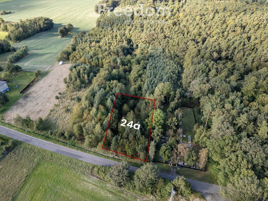 Działka inna na sprzedaż Jaczowice  2 400m2 Foto 4