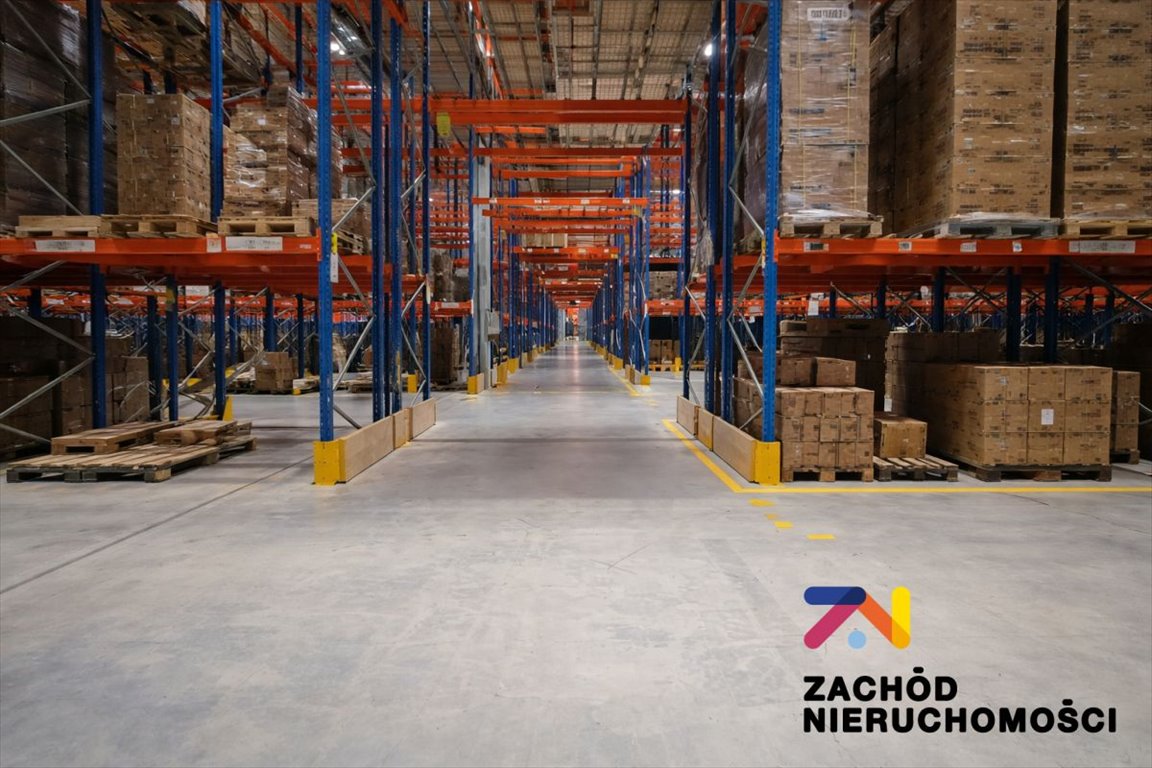 Hala magazynowa klasy A 30 223 m2 z bezpieczeństwem i elastycznością Zielona Góra  30 000m2 Foto 1