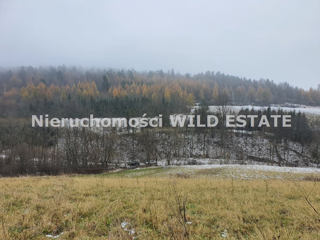 Działka rolna 5000 m² z widokiem na las i strumień Baligród, Baligród  5 000m2 Foto 1