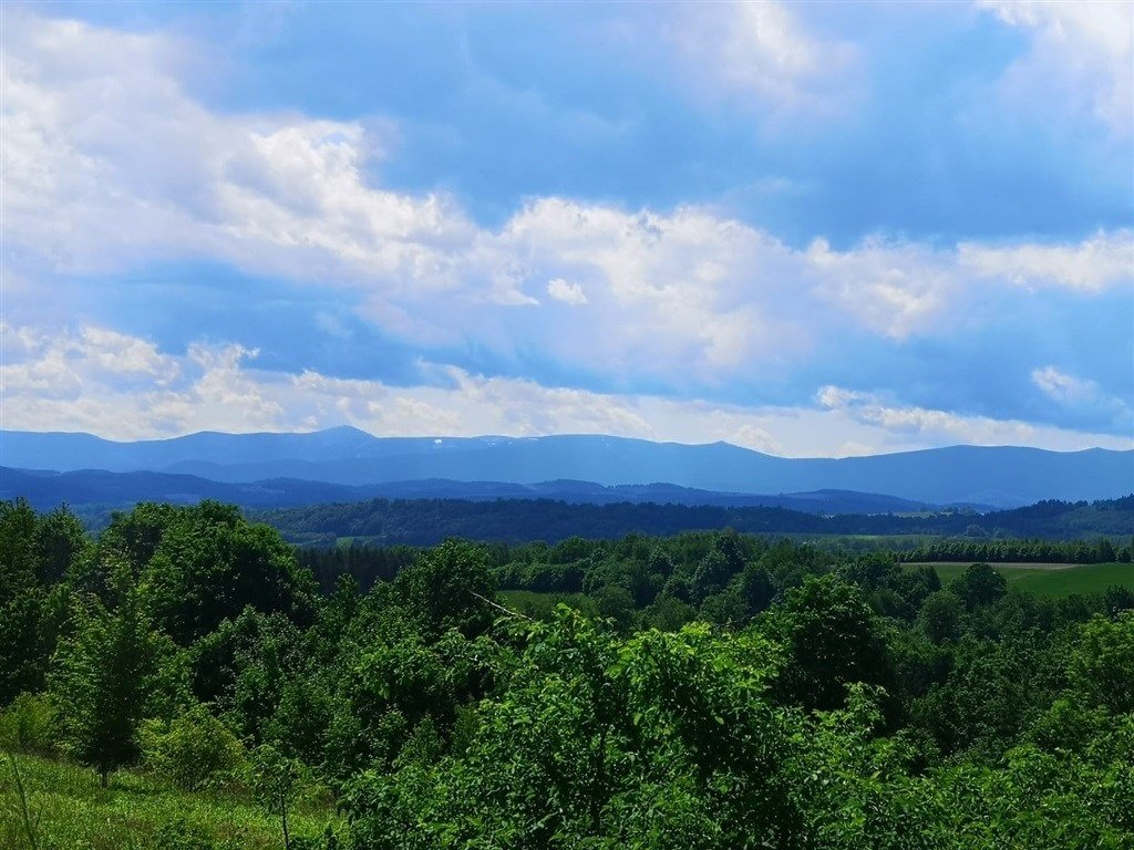 Działka inna na sprzedaż Radomice  1 066m2 Foto 6