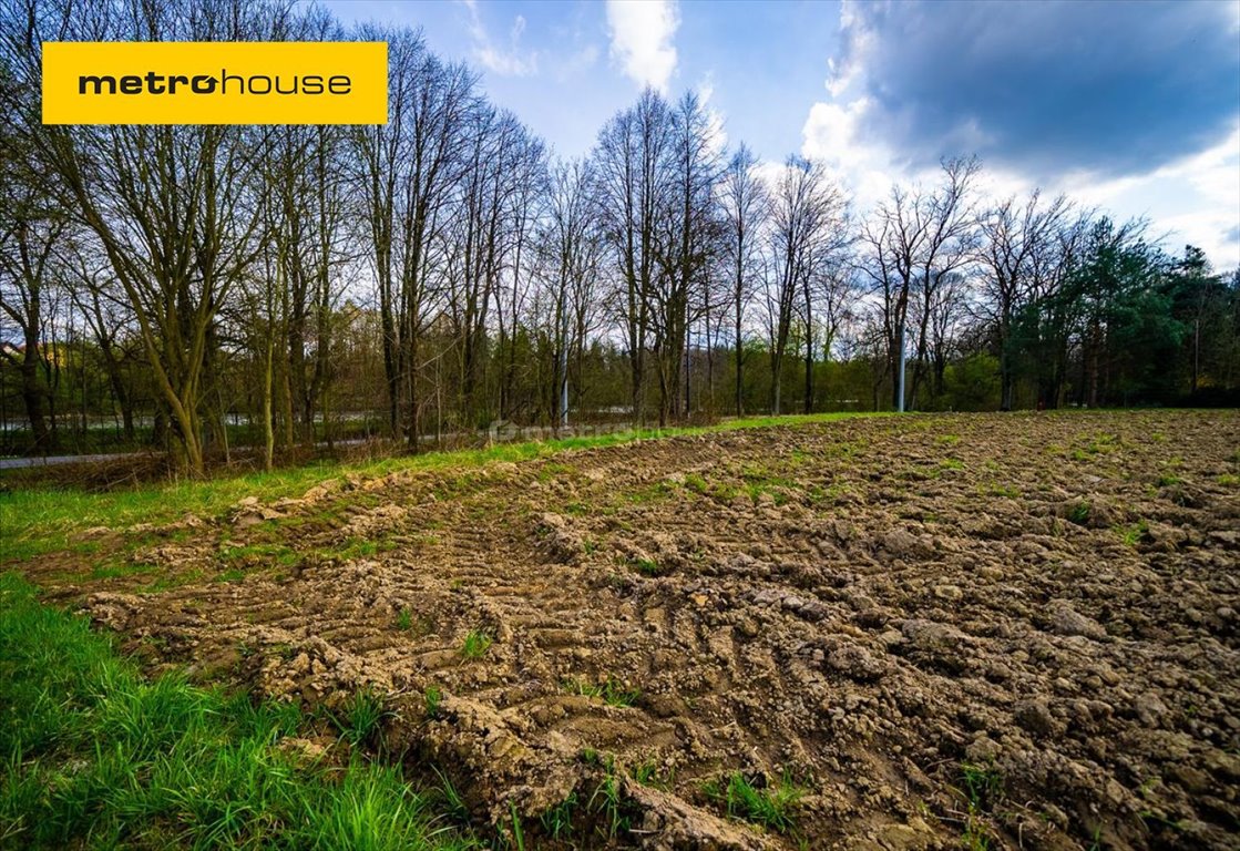 Działka inna na sprzedaż Kończyce Małe, Świtezianki  1 250m2 Foto 1