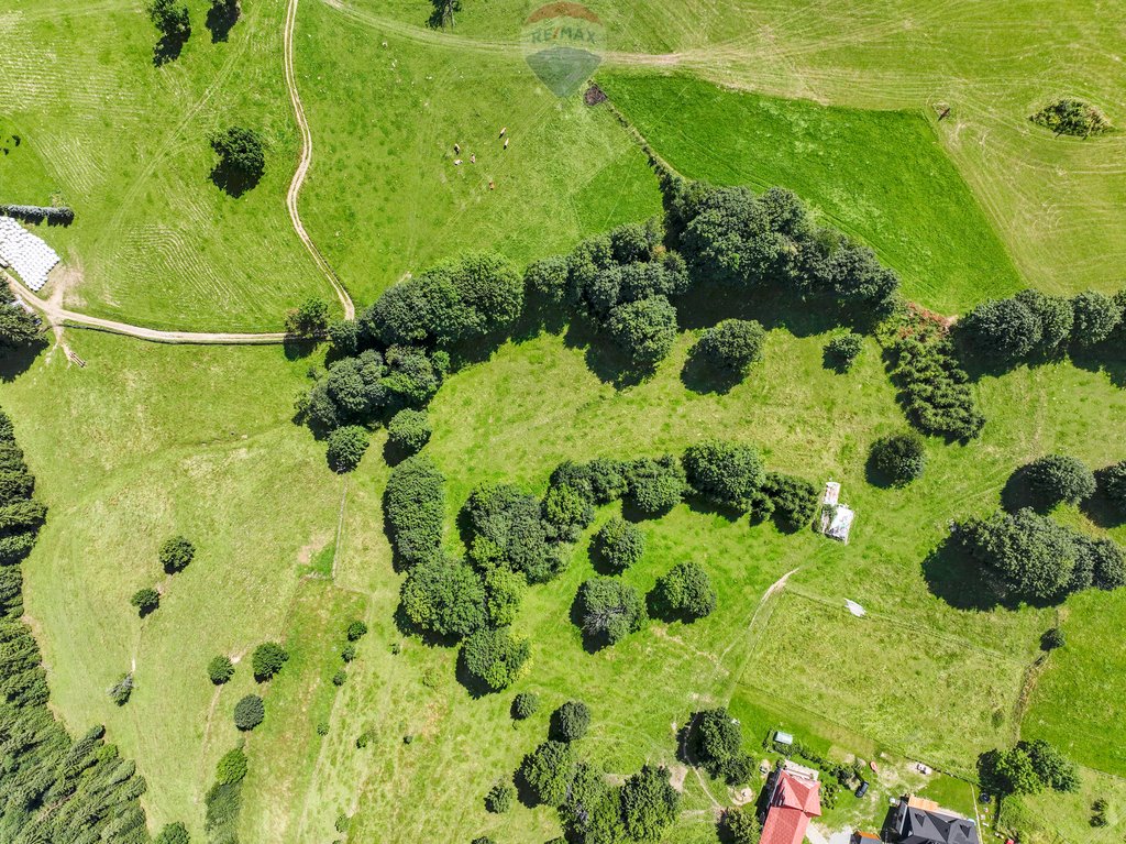 Działka rolna na sprzedaż Leśnica  2 100m2 Foto 3