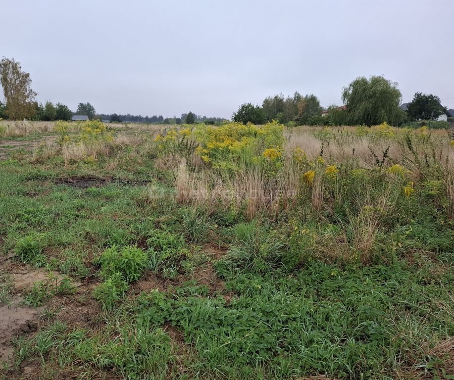 Działka inna na sprzedaż Rusiec, Łąkowa  1 000m2 Foto 4