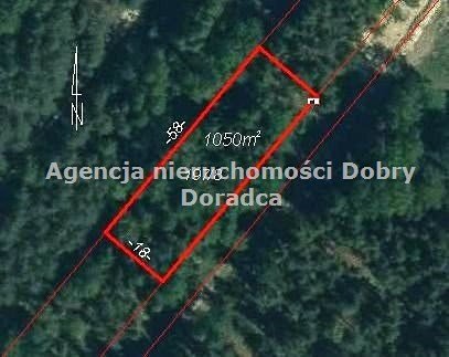 Działka leśno-budowlana 1050 m² z prądem, cisza i zieleń Ojrzanów  1 050m2 Foto 1