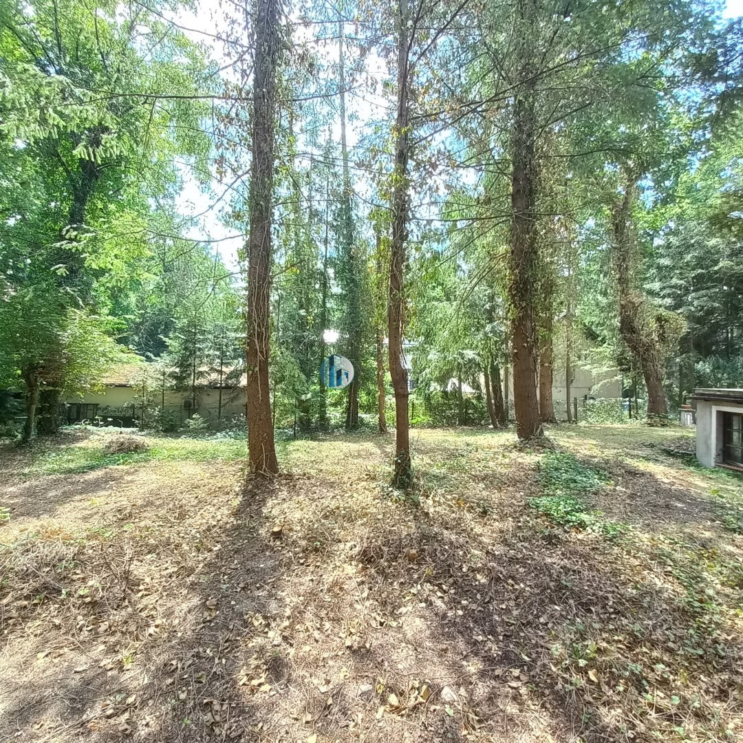 Na wynajem przestronny dom 315 m² w Zalesiu Górnym: Piaseczno Zalesie Górne: Koralowych Dębów