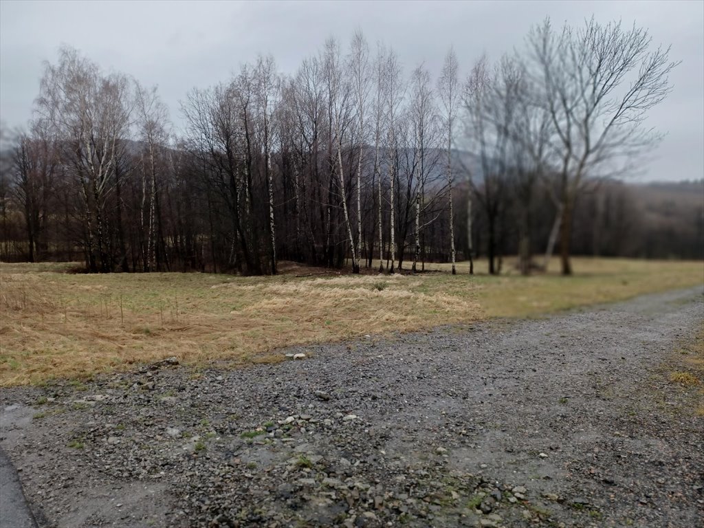 Działka budowlana na sprzedaż Bielsko-Biała, Lipnik  2 639m2 Foto 4