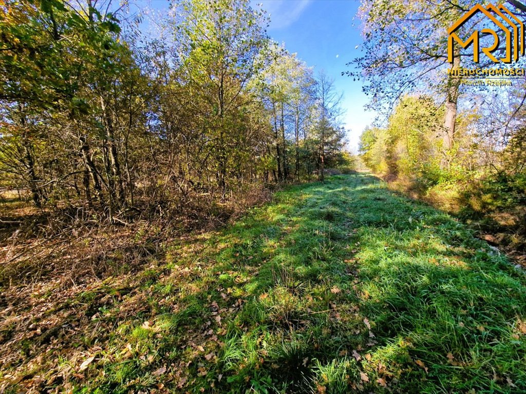 Działka inna na sprzedaż Sutków  15 100m2 Foto 4