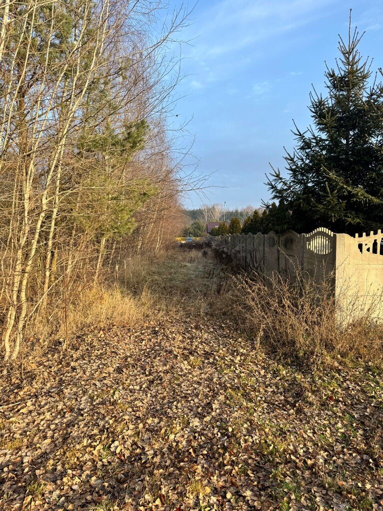 Działka budowlana na sprzedaż Łódź, Górna, Kolumny  2 446m2 Foto 8