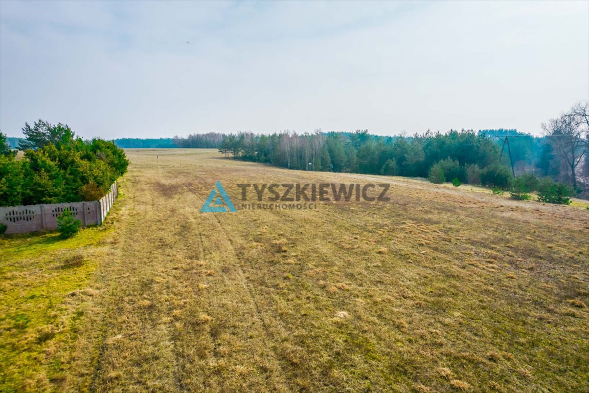 Działka rolna na sprzedaż Wąglikowice  14 900m2 Foto 10