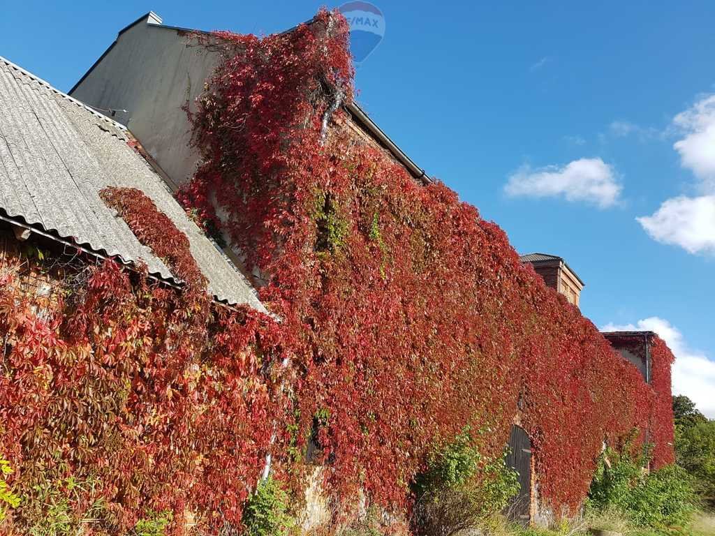 Działka budowlana na sprzedaż Osieki Lęborskie  319 000m2 Foto 15