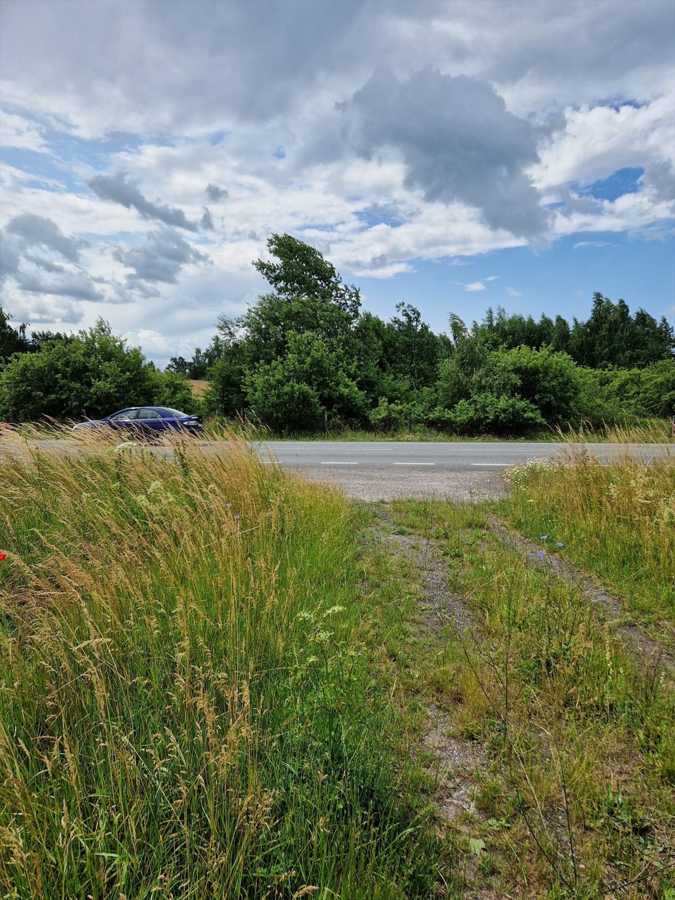 Działka inwestycyjna na sprzedaż Jurki, Jurki, droga krajowa nr 50  55 700m2 Foto 3