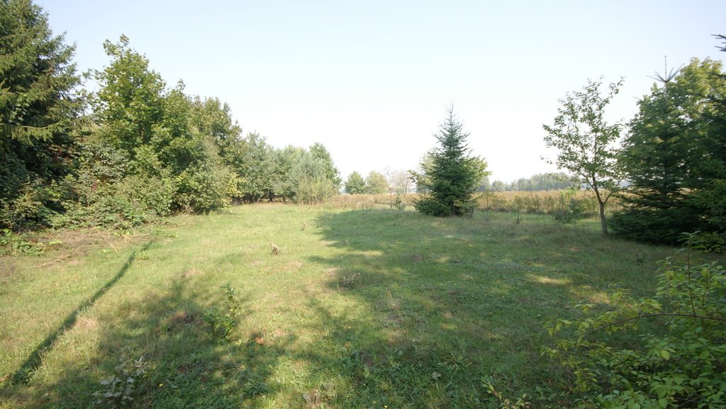 Działka z komórką i lasem, 1600 m2, Gołąb Gołąb  1 607m2 Foto 1