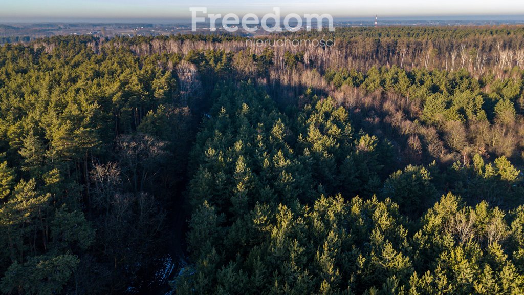 Działka budowlana na sprzedaż Świętochów, Leśna  11 932m2 Foto 13