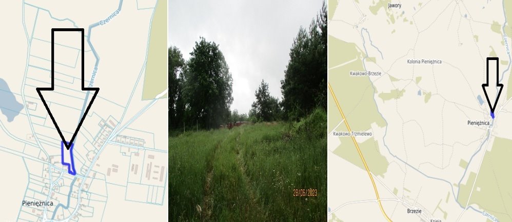 Działka rolna na sprzedaż Pieniężnica  9 357m2 Foto 1