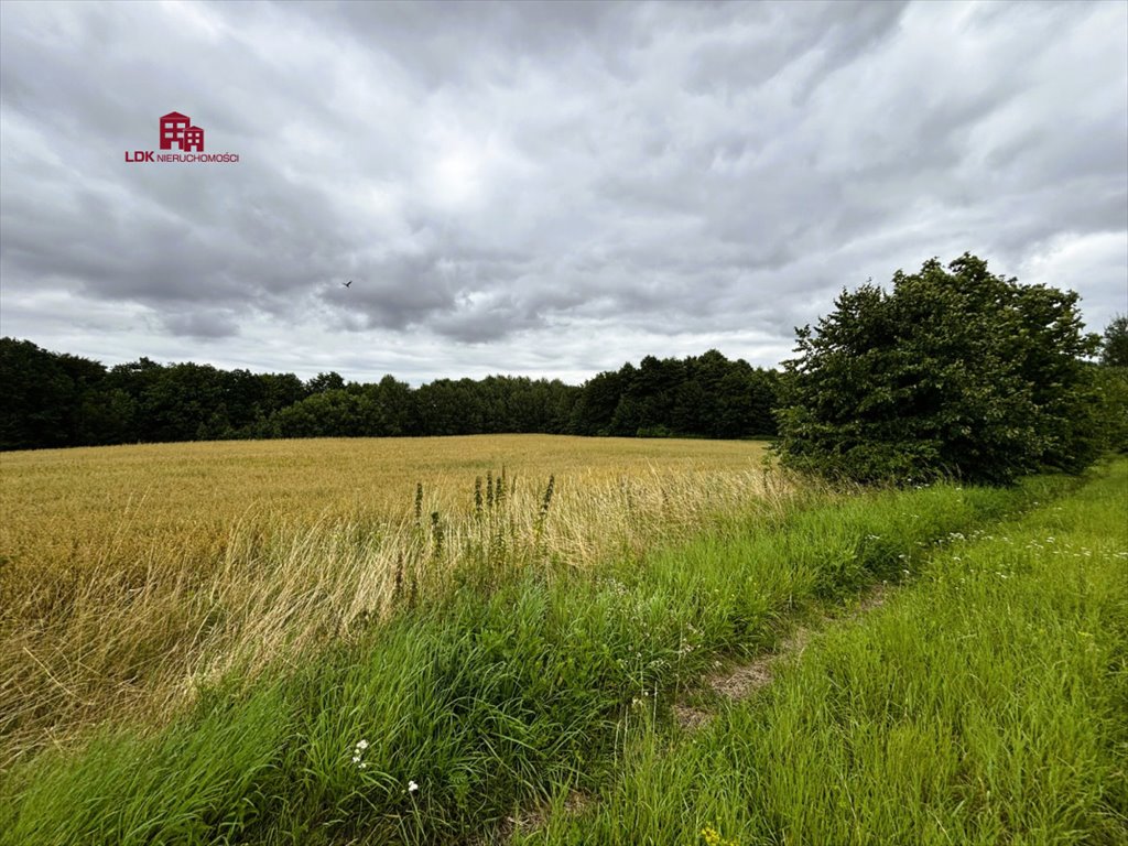 Działka siedliskowa na sprzedaż Mierzeszyn, Gdańska  16 681m2 Foto 6