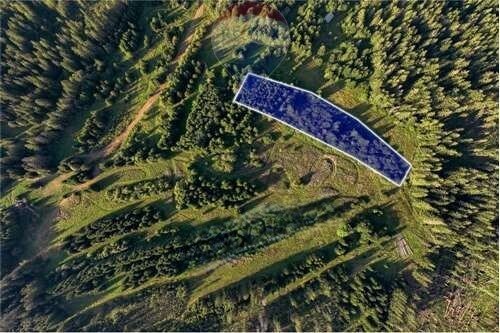 Malownicza działka rolna 6499 m² z widokiem na Tatry Dzianisz  6 499m2 Foto 1