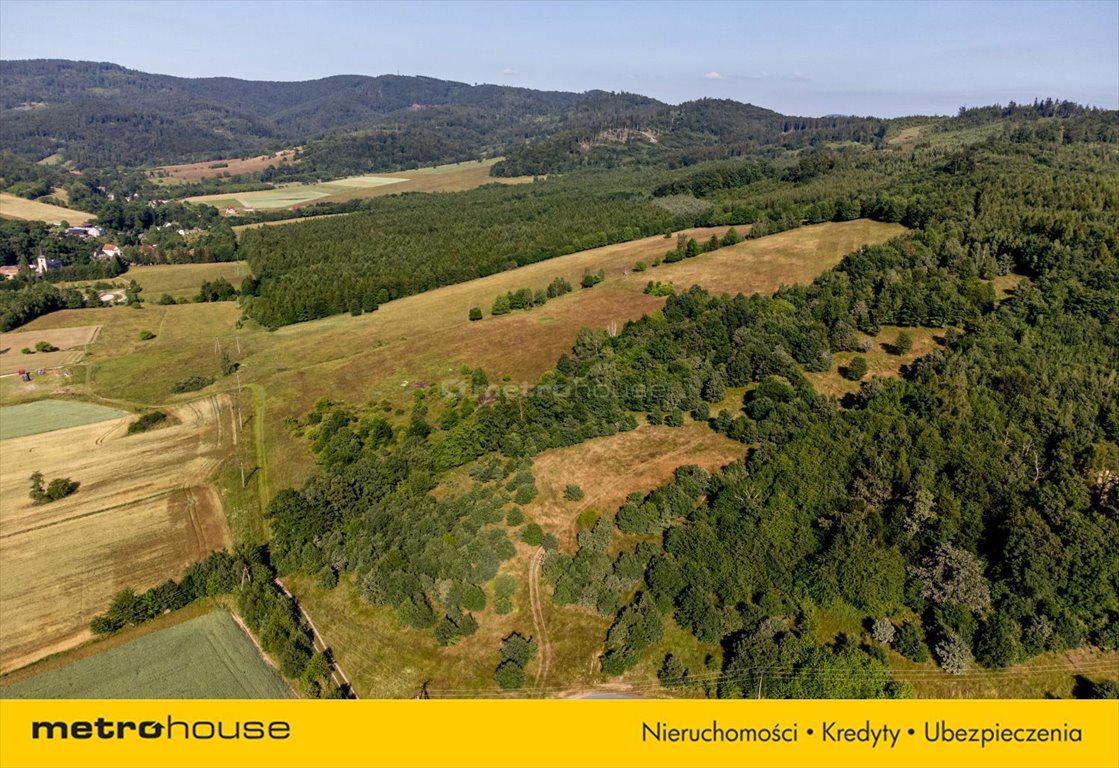 Działka rekreacyjna na sprzedaż Wojciechowice  1 000m2 Foto 3