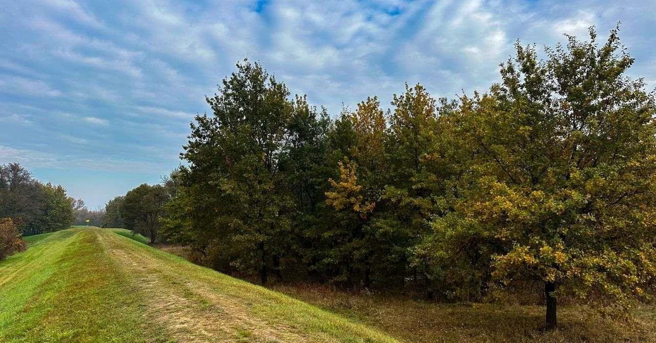 Działka budowlana na sprzedaż Ostrołęka  1 500m2 Foto 16