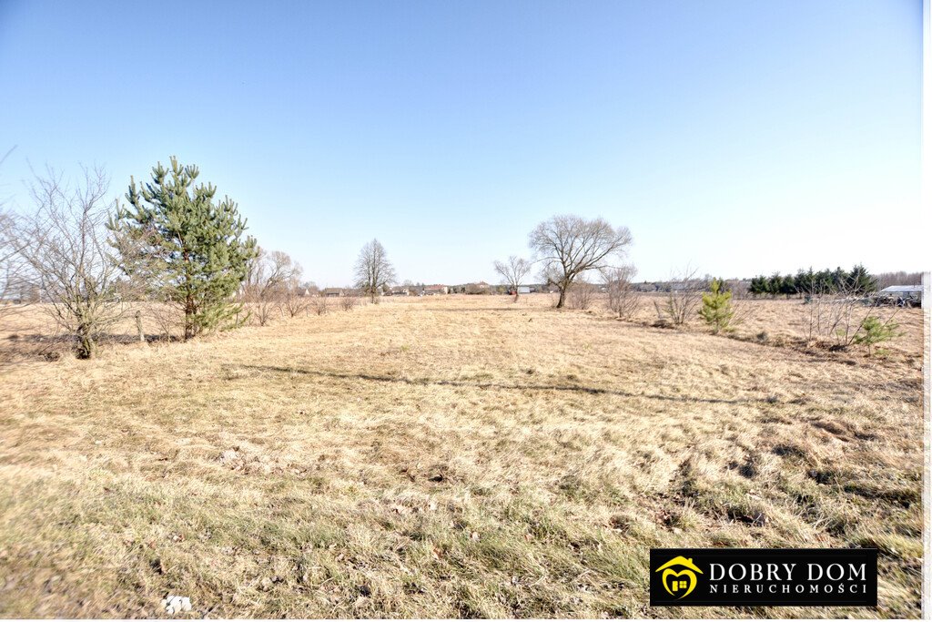 Przestronna działka rolna 0,6 ha z mediami i możliwością zabudowy Siemianówka  5 869m2 Foto 1