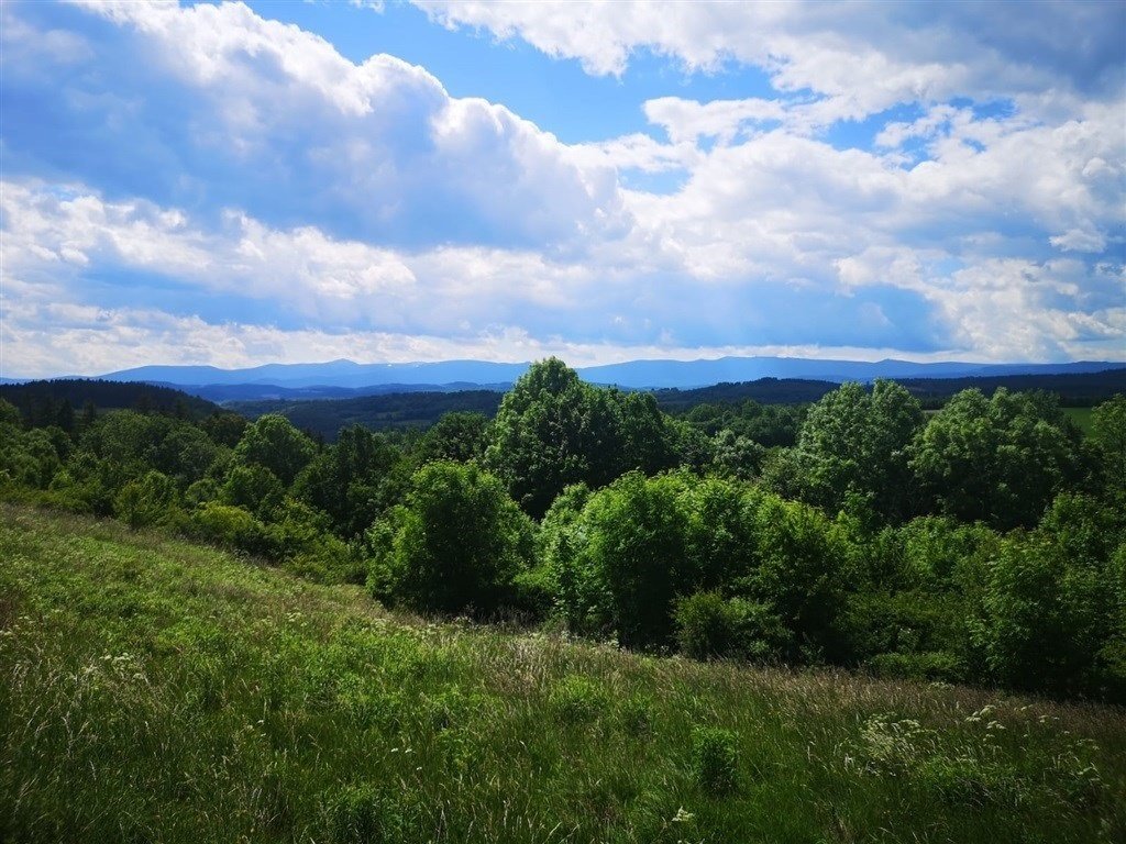 Działka inna na sprzedaż Radomice  1 066m2 Foto 5