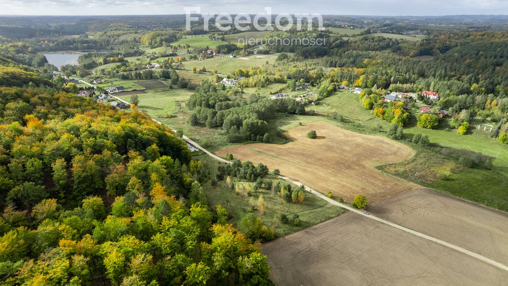 Działka budowlana na sprzedaż Klonowo Dolne, Głęboka  9 739m2 Foto 18