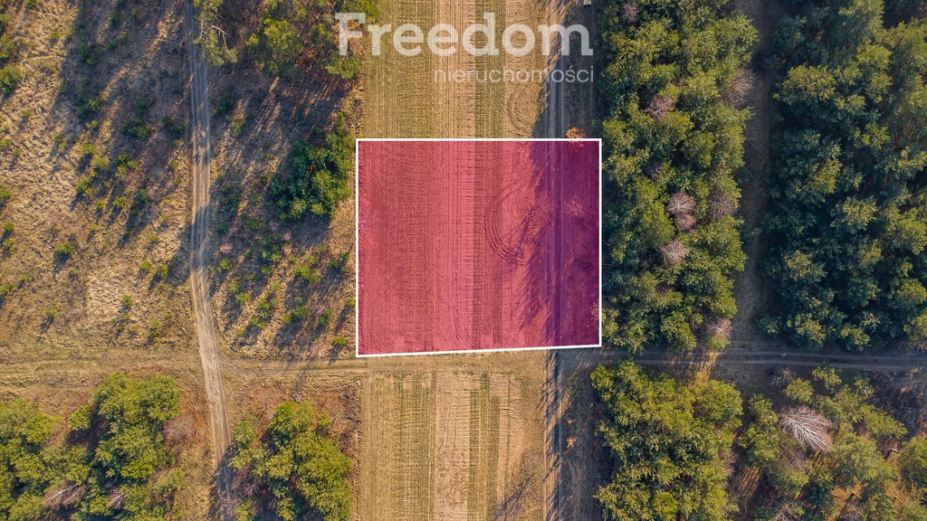 Działka budowlana na sprzedaż Grzegorzewice, Tarczyńska  1 500m2 Foto 1