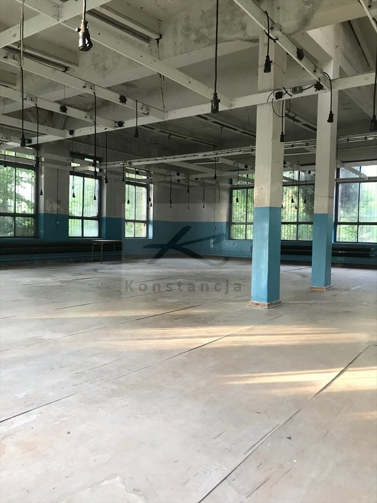 Lokal użytkowy na wynajem Kołbiel 1 200m2 Foto 1 Lokal użytkowy na wynajem Kołbiel 1 200m2 Foto 1