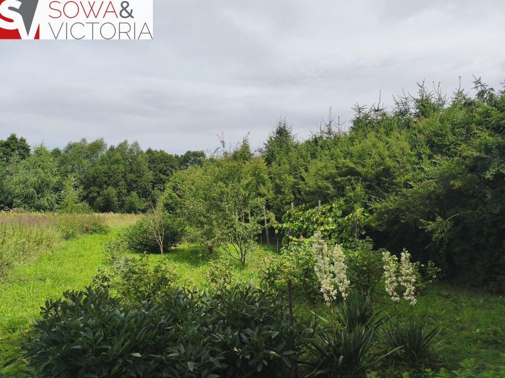Zapraszam do obejrzenia działki 4900 m² z nasadzeniami i budynkiem Dziećmorowice  4 900m2 Foto 1