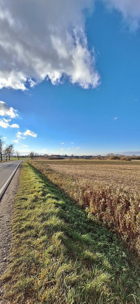 Działka inwestycyjna na sprzedaż Wiązów  15 200m2 Foto 1