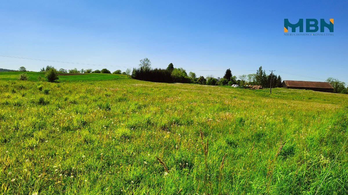 Działka rolna na sprzedaż Węgorzewo, Rudziszki  21 800m2 Foto 10