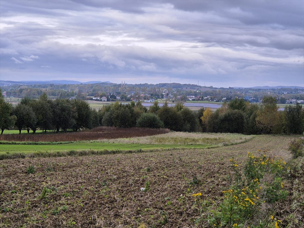 Działka rolna na sprzedaż Długie  1 910m2 Foto 8