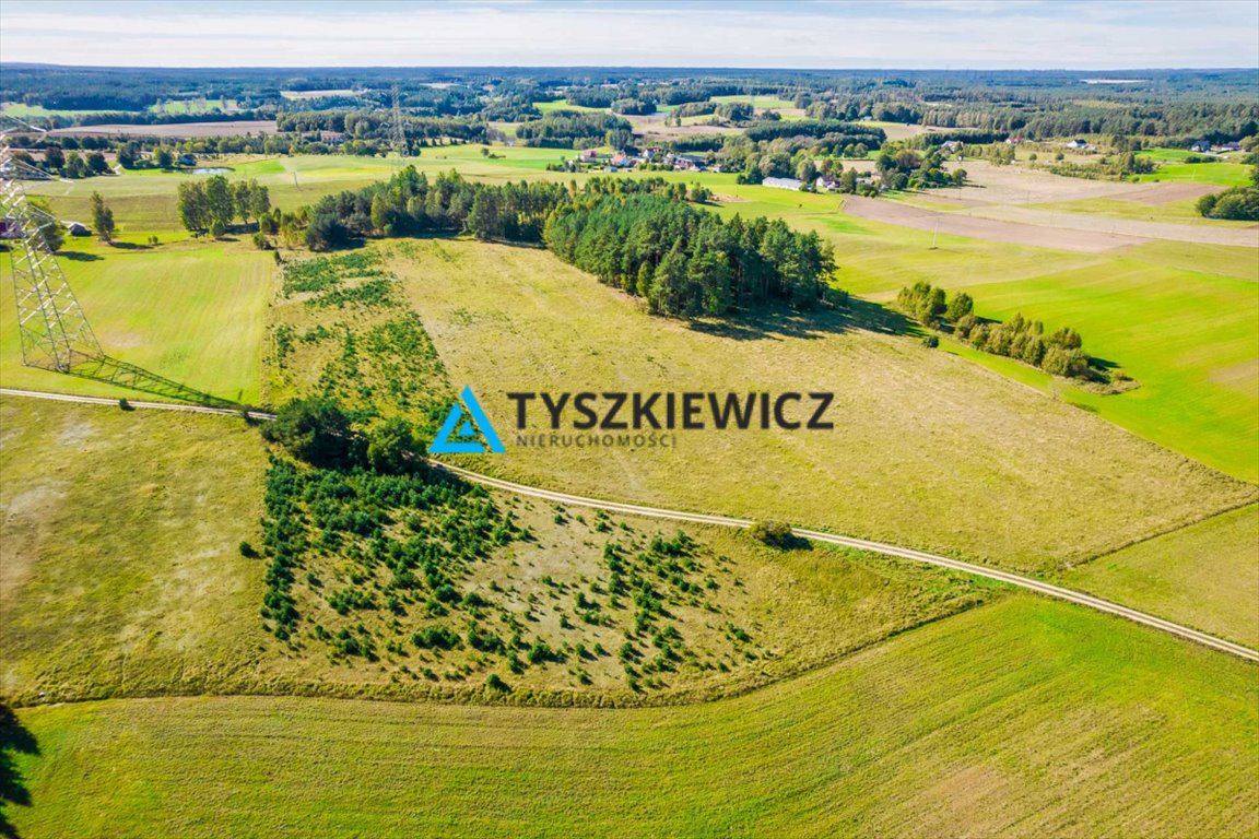 Działka 5,3 ha z pięknymi widokami i dużym potencjałem Skorzewo  52 678m2 Foto 1