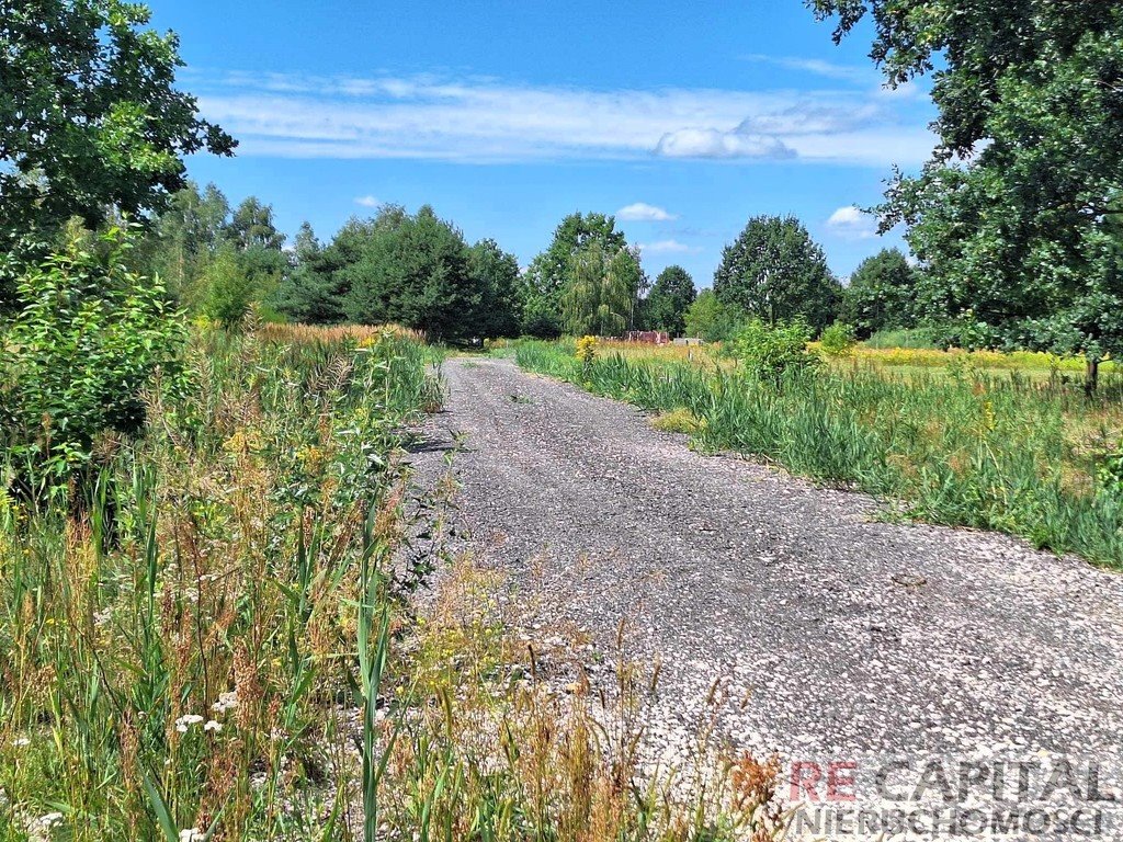 Działka budowlana na sprzedaż Borzęcin Mały  1 000m2 Foto 3