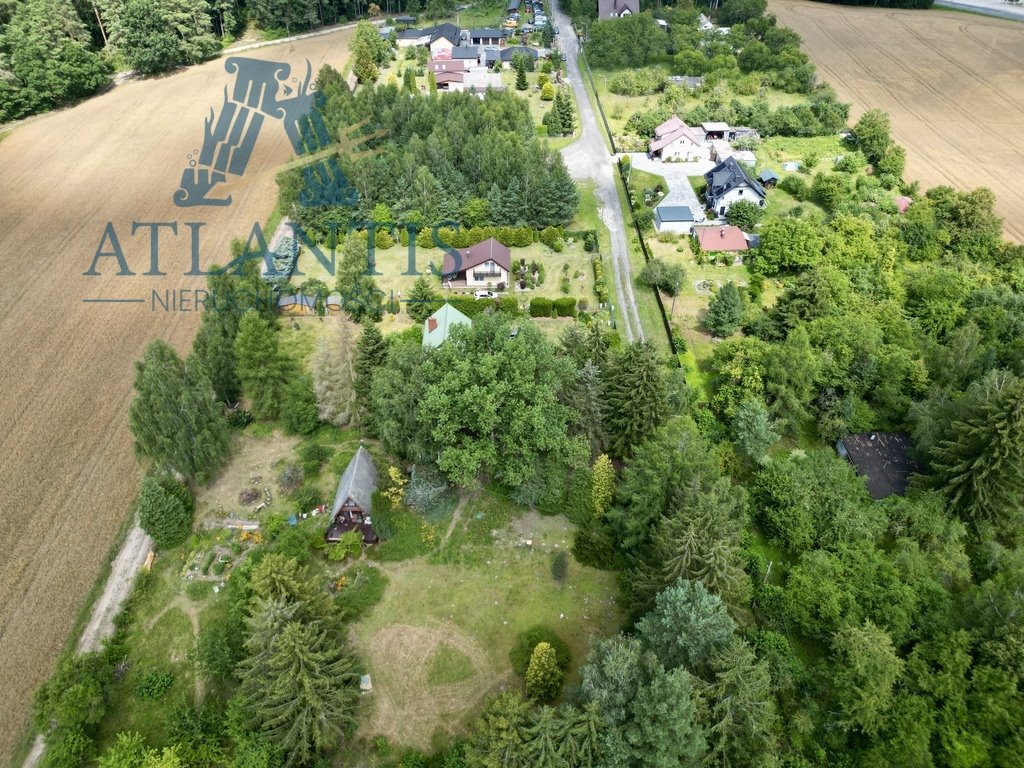 Działka budowlana na sprzedaż Błądzim, Sosnowa  3 000m2 Foto 1