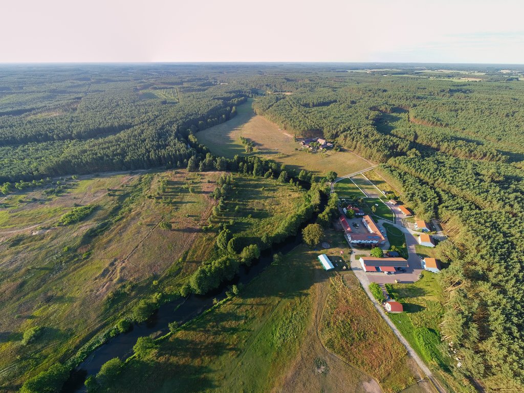 Działka budowlana na sprzedaż Dobiegniew  6 600m2 Foto 1