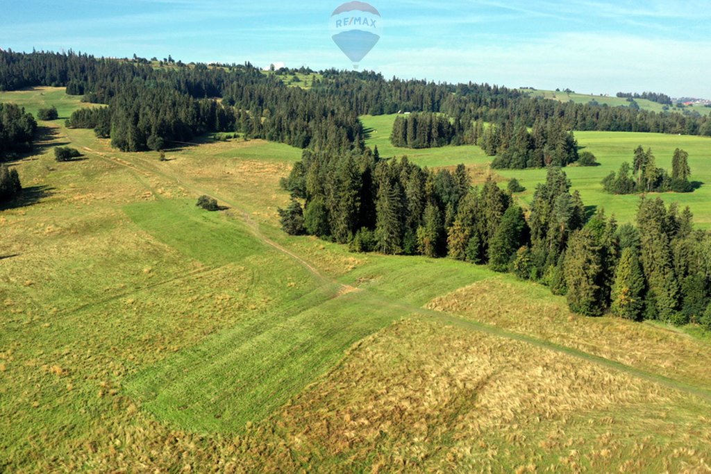 Działka rolna na sprzedaż Białka Tatrzańska  4 151m2 Foto 6