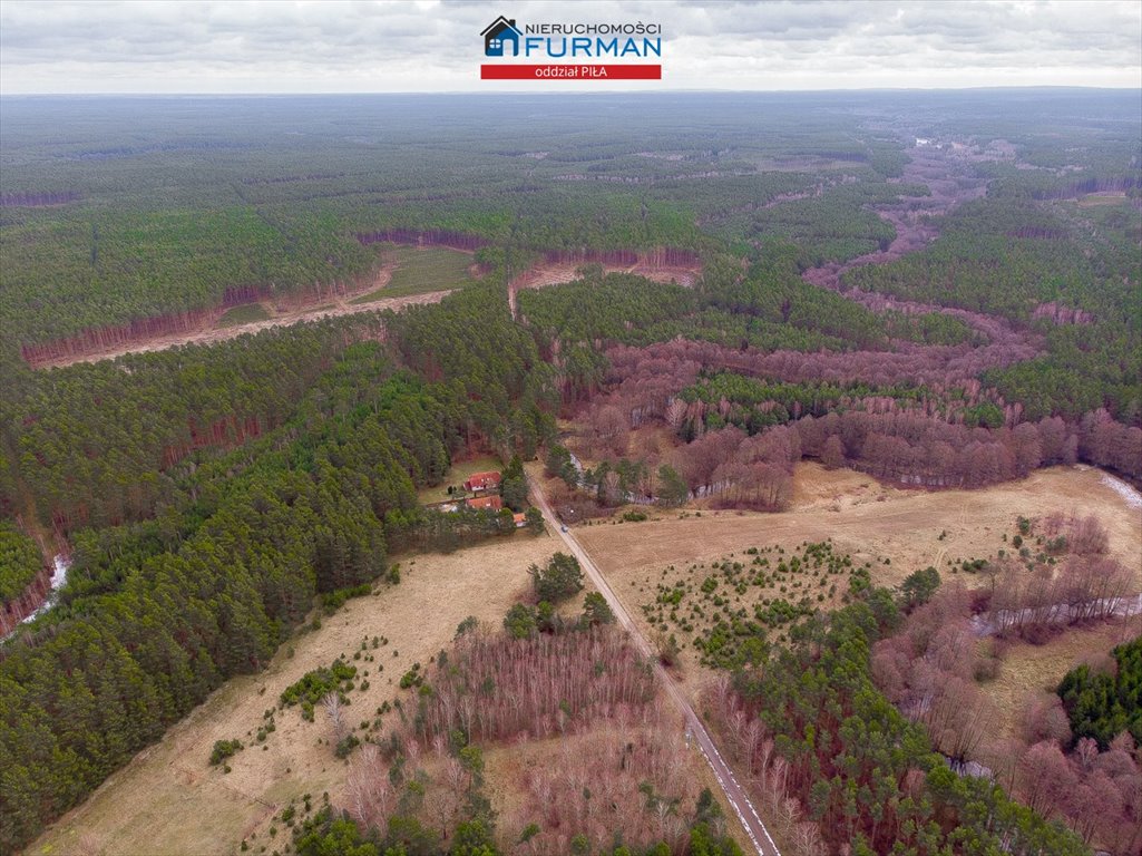 Działka budowlana na sprzedaż Czechyń  1 699m2 Foto 8