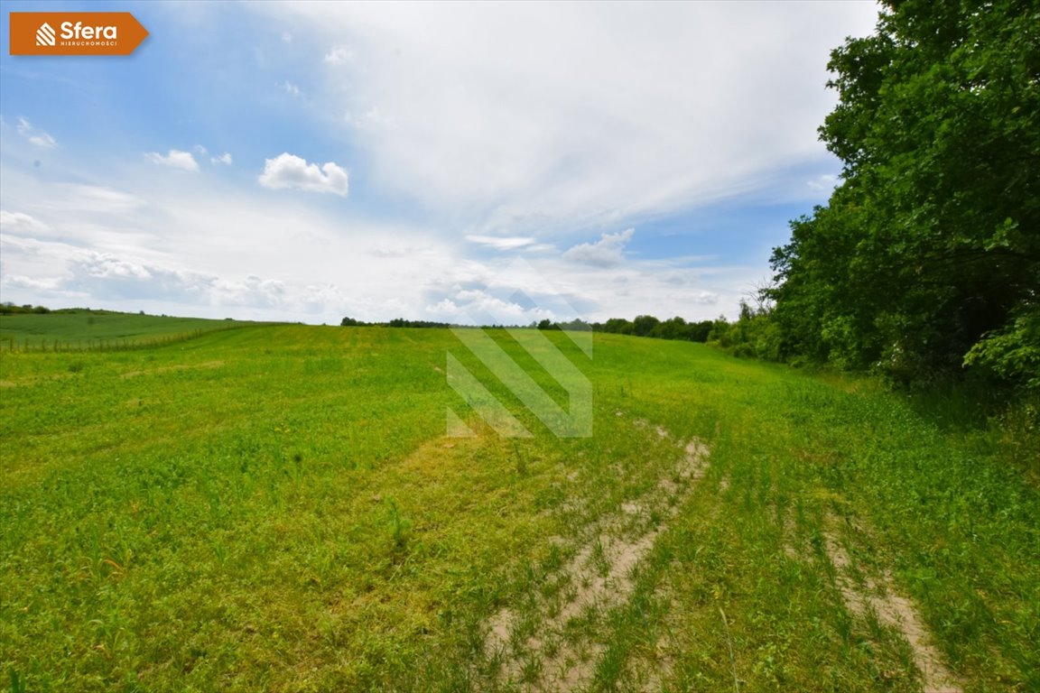 Działka budowlana na sprzedaż Gogolin  1 302m2 Foto 4