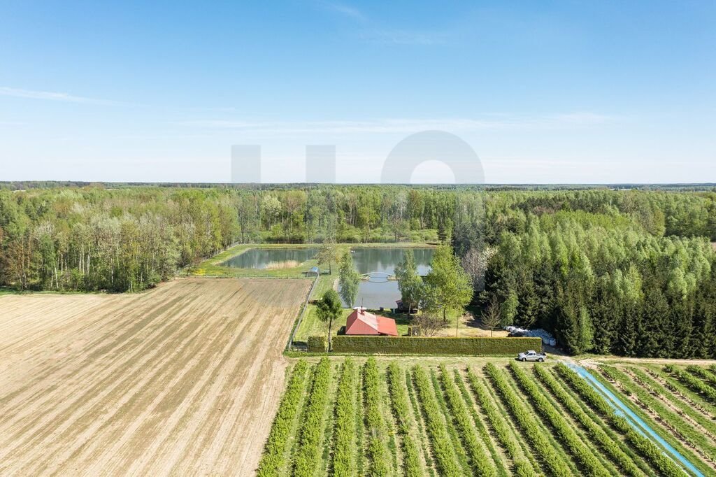 Działka siedliskowa na sprzedaż Zimnice  24 000m2 Foto 9