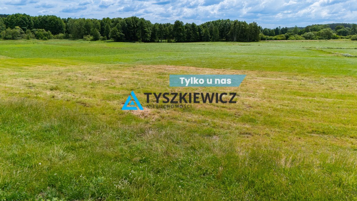Działka rolna na sprzedaż Lubieszyn  8 000m2 Foto 1