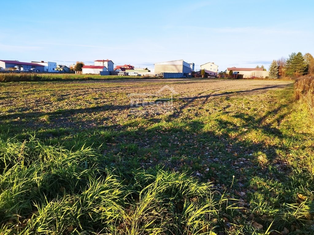 Działka budowlana na sprzedaż Dawidy  4 492m2 Foto 1