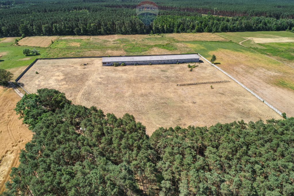 Działka rolna na sprzedaż Hetmanów 414 600m2 Foto 1 Działka rolna na sprzedaż Hetmanów 414 600m2 Foto 1