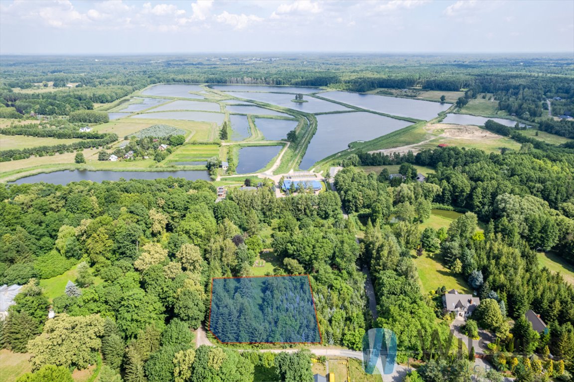 Działka budowlana na sprzedaż Grzegorzewice, Macierzanki  2 200m2 Foto 2