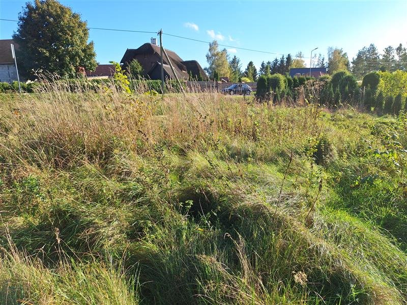 Działka budowlana na sprzedaż Rusko, Rusko  4 082m2 Foto 5