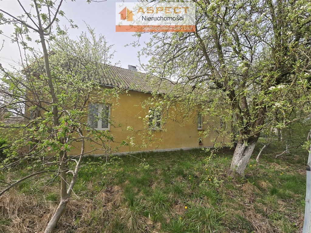Dom na sprzedaż Nowa Biała  128m2 Foto 4