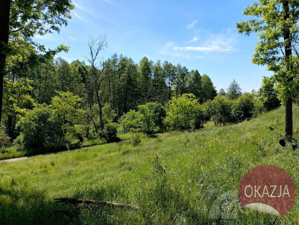 Działka inna na sprzedaż Stary Błeszyn  1 500m2 Foto 3